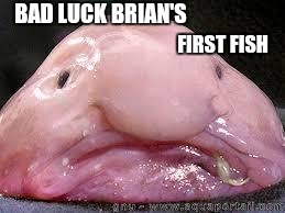 Blobfish | BAD LUCK BRIAN'S; FIRST FISH | image tagged in blobfish | made w/ Imgflip meme maker