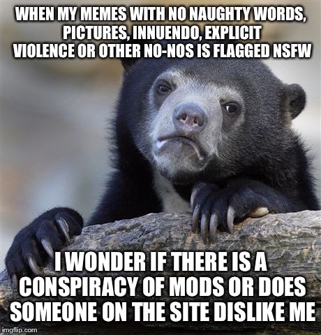Confession Bear | WHEN MY MEMES WITH NO NAUGHTY WORDS, PICTURES, INNUENDO, EXPLICIT VIOLENCE OR OTHER NO-NOS IS FLAGGED NSFW; I WONDER IF THERE IS A CONSPIRACY OF MODS OR DOES SOMEONE ON THE SITE DISLIKE ME | image tagged in memes,confession bear,flag,imgflip user,troll | made w/ Imgflip meme maker