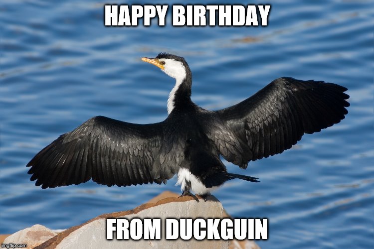 Duckguin | HAPPY BIRTHDAY; FROM DUCKGUIN | image tagged in duckguin | made w/ Imgflip meme maker