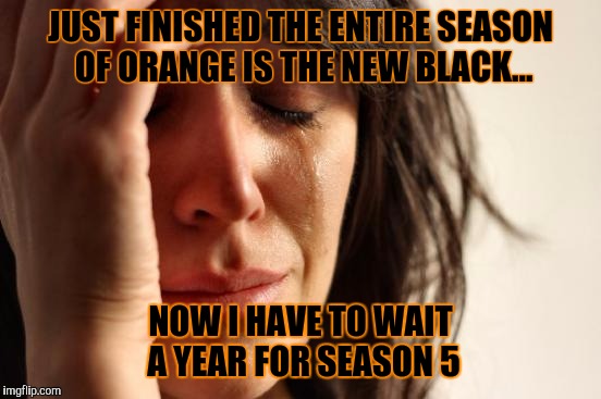 First World Problems | JUST FINISHED THE ENTIRE SEASON OF ORANGE IS THE NEW BLACK... NOW I HAVE TO WAIT A YEAR FOR SEASON 5 | image tagged in memes,first world problems | made w/ Imgflip meme maker