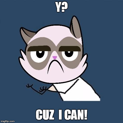 Y? CUZ  I CAN! | made w/ Imgflip meme maker