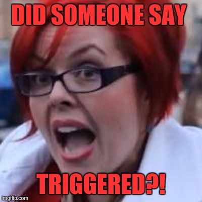 DID SOMEONE SAY TRIGGERED?! | made w/ Imgflip meme maker