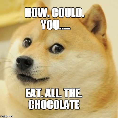 Doge Meme | HOW. COULD. YOU..... EAT. ALL. THE. CHOCOLATE | image tagged in memes,doge | made w/ Imgflip meme maker