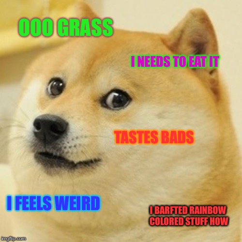 Doge Meme | OOO GRASS; I NEEDS TO EAT IT; TASTES BADS; I FEELS WEIRD; I BARFTED RAINBOW COLORED STUFF HOW | image tagged in memes,doge | made w/ Imgflip meme maker