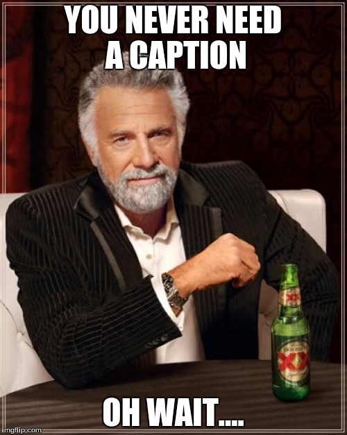 The Most Interesting Man In The World Meme | YOU NEVER NEED A CAPTION OH WAIT.... | image tagged in memes,the most interesting man in the world | made w/ Imgflip meme maker