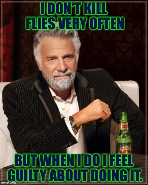 I'm Not Good Material For a Manly-Man......  | I DON'T KILL FLIES VERY OFTEN; BUT WHEN I DO I FEEL GUILTY ABOUT DOING IT. | image tagged in memes,the most interesting man in the world,stop reading the tags,so true | made w/ Imgflip meme maker