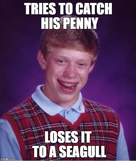 Bad Luck Brian Meme | TRIES TO CATCH HIS PENNY LOSES IT TO A SEAGULL | image tagged in memes,bad luck brian | made w/ Imgflip meme maker