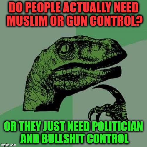 Philosoraptor | DO PEOPLE ACTUALLY NEED MUSLIM OR GUN CONTROL? OR THEY JUST NEED POLITICIAN AND BULLSHIT CONTROL | image tagged in memes,philosoraptor | made w/ Imgflip meme maker