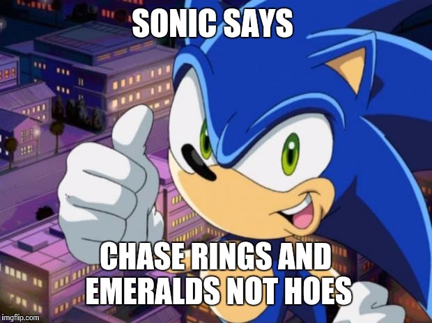 Sonic 2.0 | SONIC SAYS; CHASE RINGS AND EMERALDS NOT HOES | image tagged in sonic 20 | made w/ Imgflip meme maker