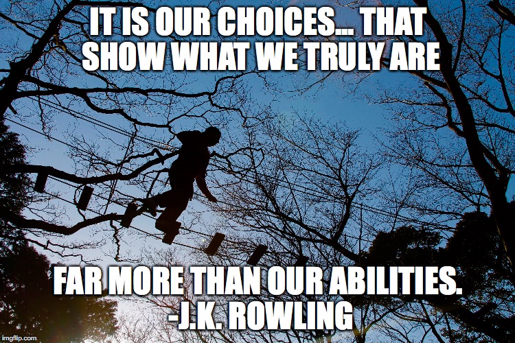 You Choose | IT IS OUR CHOICES... THAT SHOW WHAT WE TRULY ARE; FAR MORE THAN OUR ABILITIES. -J.K. ROWLING | image tagged in choices,learning,education | made w/ Imgflip meme maker