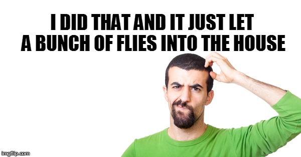 I DID THAT AND IT JUST LET A BUNCH OF FLIES INTO THE HOUSE | made w/ Imgflip meme maker