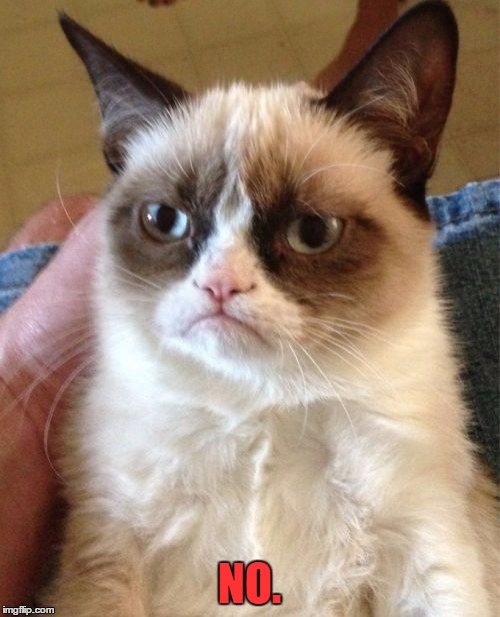 Grumpy Cat Meme | NO. | image tagged in memes,grumpy cat | made w/ Imgflip meme maker
