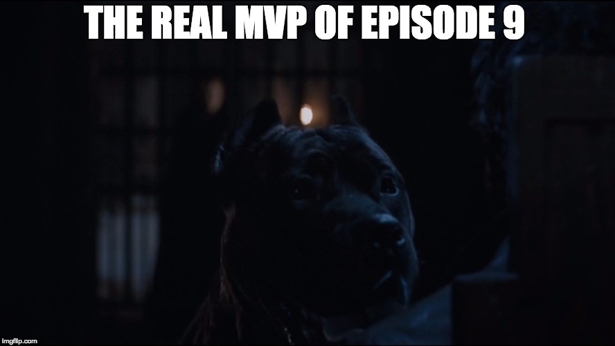 THE REAL MVP OF EPISODE 9 | image tagged in the real mbvp | made w/ Imgflip meme maker