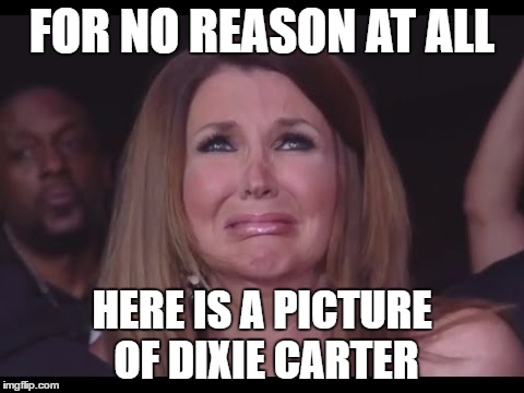 FOR NO REASON AT ALL; HERE IS A PICTURE OF DIXIE CARTER | image tagged in no reason dixie | made w/ Imgflip meme maker