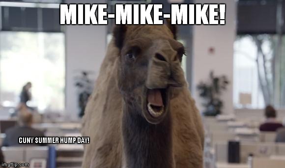 Hump Day Camel | MIKE-MIKE-MIKE! CUNY SUMMER HUMP DAY! | image tagged in hump day camel | made w/ Imgflip meme maker