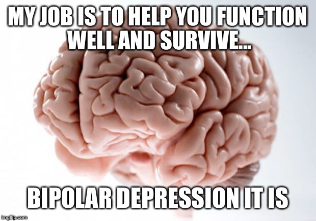 Scumbag Brain | MY JOB IS TO HELP YOU FUNCTION WELL AND SURVIVE... BIPOLAR DEPRESSION IT IS | image tagged in scumbag brain | made w/ Imgflip meme maker