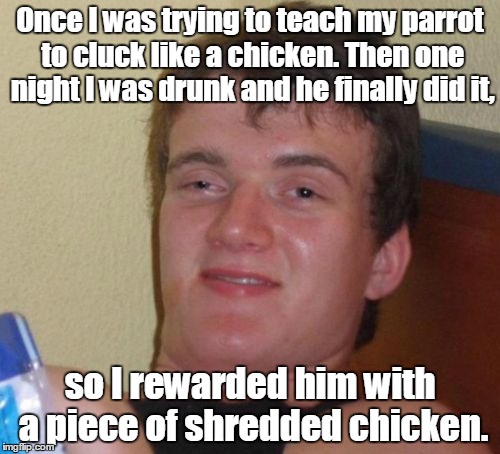 10 Guy Meme | Once I was trying to teach my parrot to cluck like a chicken. Then one night I was drunk and he finally did it, so I rewarded him with a piece of shredded chicken. | image tagged in memes,10 guy | made w/ Imgflip meme maker