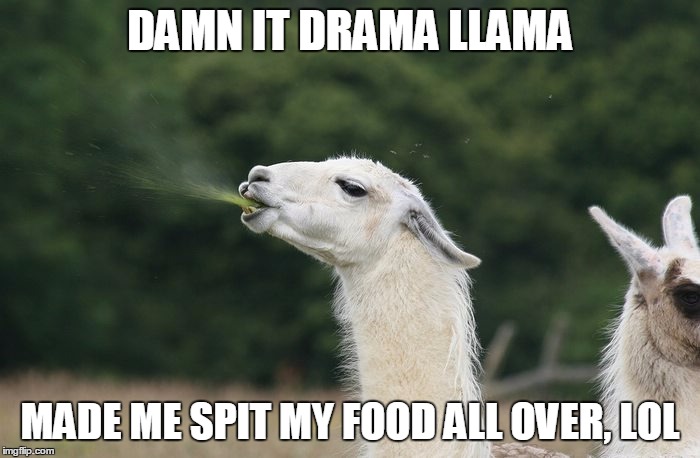 Damn Drama Llama | DAMN IT DRAMA LLAMA; MADE ME SPIT MY FOOD ALL OVER, LOL | image tagged in drama,llama,lol | made w/ Imgflip meme maker