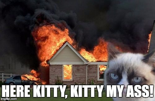 Burn Kitty | HERE KITTY, KITTY MY ASS! | image tagged in memes,burn kitty | made w/ Imgflip meme maker