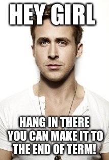 Ryan Gosling Meme | HEY GIRL; HANG IN THERE YOU CAN MAKE IT TO THE END OF TERM! | image tagged in memes,ryan gosling | made w/ Imgflip meme maker