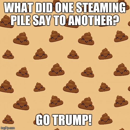WHAT DID ONE STEAMING PILE SAY TO ANOTHER? GO TRUMP! | image tagged in trump rally | made w/ Imgflip meme maker