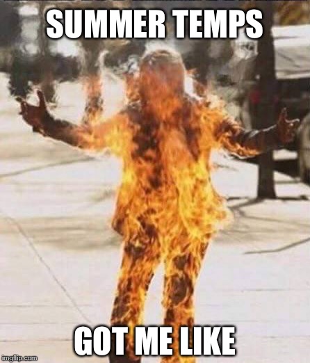 Sum, Sum, Summer Time... |  SUMMER TEMPS; GOT ME LIKE | image tagged in memes,funny,summer,hot | made w/ Imgflip meme maker