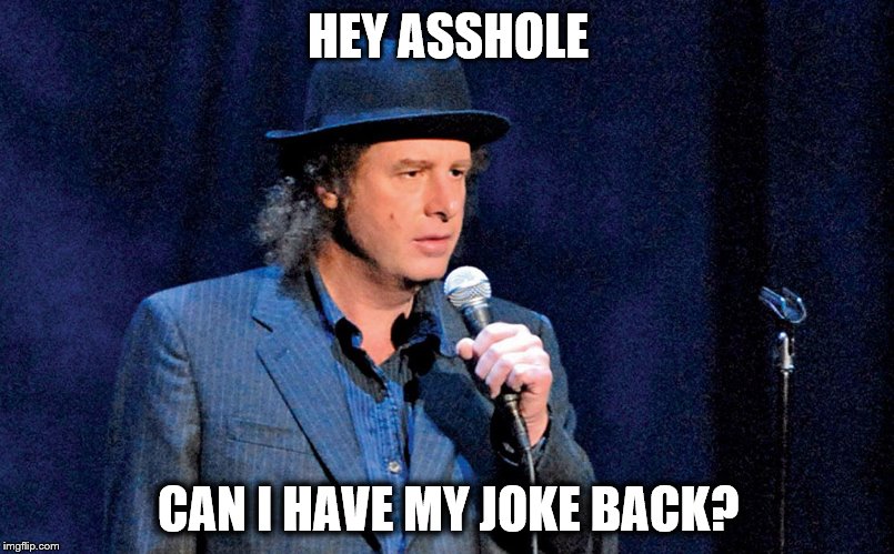 Steven Wright | HEY ASSHOLE CAN I HAVE MY JOKE BACK? | image tagged in steven wright | made w/ Imgflip meme maker
