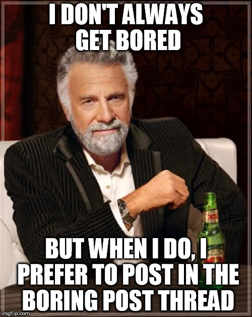 The Most Interesting Man In The World Meme | I DON'T ALWAYS GET BORED; BUT WHEN I DO, I PREFER TO POST IN THE BORING POST THREAD | image tagged in memes,the most interesting man in the world | made w/ Imgflip meme maker