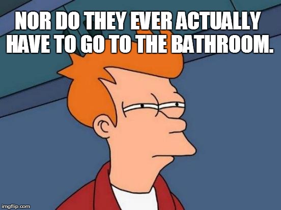 Futurama Fry Meme | NOR DO THEY EVER ACTUALLY HAVE TO GO TO THE BATHROOM. | image tagged in memes,futurama fry | made w/ Imgflip meme maker