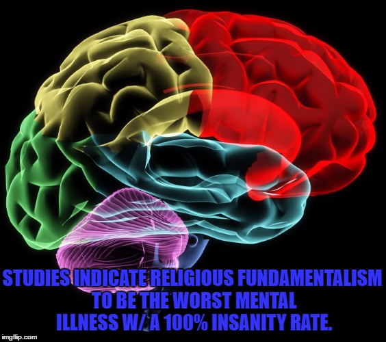 Brain | STUDIES INDICATE RELIGIOUS FUNDAMENTALISM TO BE THE WORST MENTAL ILLNESS W/ A 100% INSANITY RATE. | image tagged in brain | made w/ Imgflip meme maker