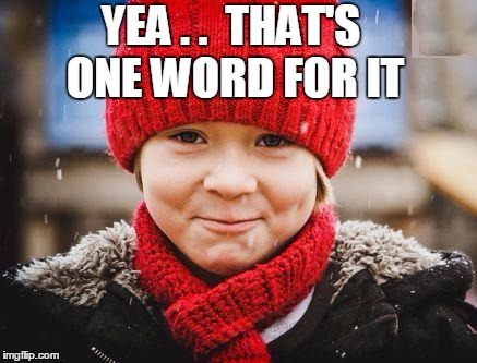 smirk | YEA . .  THAT'S ONE WORD FOR IT | image tagged in smirk | made w/ Imgflip meme maker