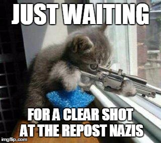 JUST WAITING FOR A CLEAR SHOT AT THE REPOST NAZIS | made w/ Imgflip meme maker