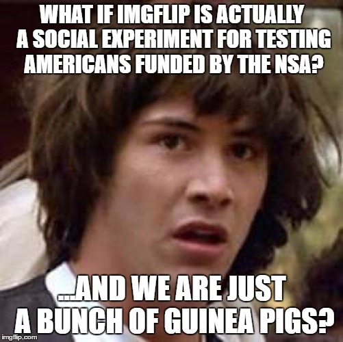 Conspiracy Keanu Meme | WHAT IF IMGFLIP IS ACTUALLY A SOCIAL EXPERIMENT FOR TESTING AMERICANS FUNDED BY THE NSA? ...AND WE ARE JUST A BUNCH OF GUINEA PIGS? | image tagged in memes,conspiracy keanu | made w/ Imgflip meme maker