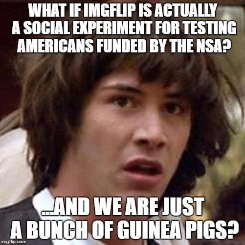 Conspiracy Keanu | WHAT IF IMGFLIP IS ACTUALLY A SOCIAL EXPERIMENT FOR TESTING AMERICANS FUNDED BY THE NSA? ...AND WE ARE JUST A BUNCH OF GUINEA PIGS? | image tagged in memes,conspiracy keanu | made w/ Imgflip meme maker