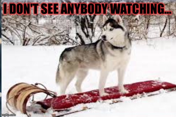 I DON'T SEE ANYBODY WATCHING... | made w/ Imgflip meme maker