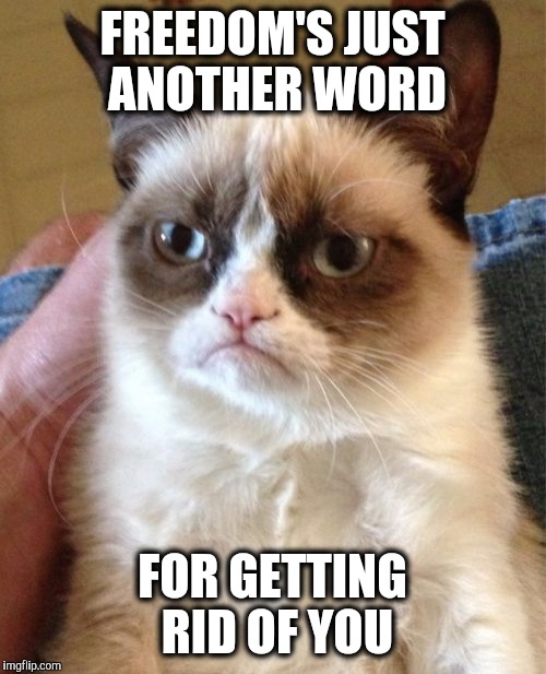 Janis Joplin's cat. | FREEDOM'S JUST ANOTHER WORD; FOR GETTING RID OF YOU | image tagged in memes,grumpy cat,rock and roll | made w/ Imgflip meme maker