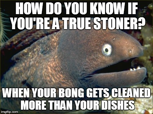 Bad Joke Eel Meme | HOW DO YOU KNOW IF YOU'RE A TRUE STONER? WHEN YOUR BONG GETS CLEANED MORE THAN YOUR DISHES | image tagged in memes,bad joke eel | made w/ Imgflip meme maker