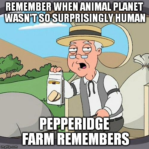 Pepperidge Farm Remembers | REMEMBER WHEN ANIMAL PLANET WASN'T SO SURPRISINGLY HUMAN; PEPPERIDGE FARM REMEMBERS | image tagged in memes,pepperidge farm remembers | made w/ Imgflip meme maker