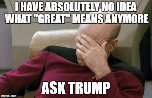 Captain Picard Facepalm Meme | I HAVE ABSOLUTELY NO IDEA WHAT "GREAT" MEANS ANYMORE ASK TRUMP | image tagged in memes,captain picard facepalm | made w/ Imgflip meme maker