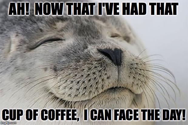Satisfied Seal | AH!  NOW THAT I'VE HAD THAT; CUP OF COFFEE,  I CAN FACE THE DAY! | image tagged in memes,satisfied seal | made w/ Imgflip meme maker