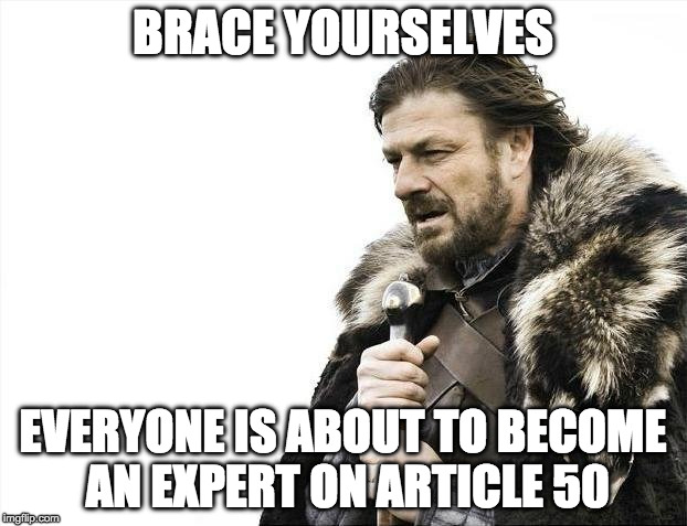 Brace Yourselves X is Coming | BRACE YOURSELVES; EVERYONE IS ABOUT TO BECOME AN EXPERT ON ARTICLE 50 | image tagged in memes,brace yourselves x is coming | made w/ Imgflip meme maker