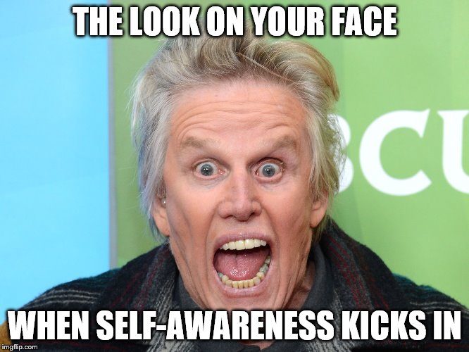 THE LOOK ON YOUR FACE; WHEN SELF-AWARENESS KICKS IN | image tagged in gary busey,memes,crazy eyes | made w/ Imgflip meme maker