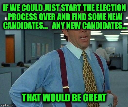 Beuller?  Beuller?  Anybody? | IF WE COULD JUST START THE ELECTION PROCESS OVER AND FIND SOME NEW CANDIDATES...   ANY NEW CANDIDATES... THAT WOULD BE GREAT | image tagged in memes,that would be great,trump,hillary,election 2016 | made w/ Imgflip meme maker