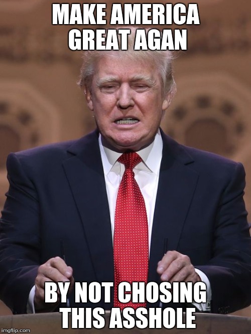 Donald Trump | MAKE AMERICA GREAT AGAN; BY NOT CHOSING THIS ASSHOLE | image tagged in donald trump | made w/ Imgflip meme maker