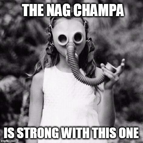 Nag Champa | THE NAG CHAMPA; IS STRONG WITH THIS ONE | image tagged in star wars,smells,spirituality,funny people,funny meme | made w/ Imgflip meme maker