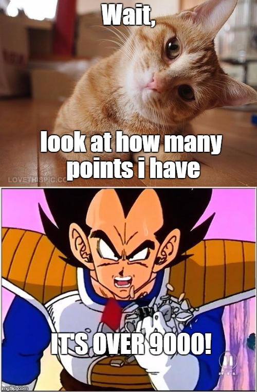 Wait, look at how many points i have; IT'S OVER 9000! | image tagged in vegeta | made w/ Imgflip meme maker
