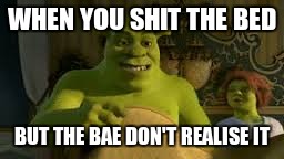 WHEN YOU SHIT THE BED; BUT THE BAE DON'T REALISE IT | image tagged in memes,shrek | made w/ Imgflip meme maker