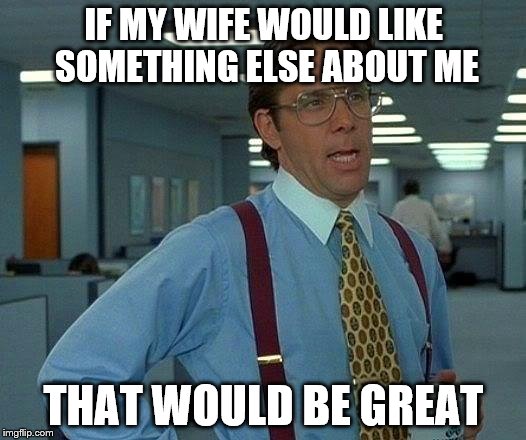That Would Be Great Meme | IF MY WIFE WOULD LIKE SOMETHING ELSE ABOUT ME THAT WOULD BE GREAT | image tagged in memes,that would be great | made w/ Imgflip meme maker