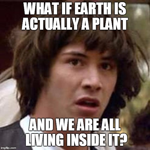 Conspiracy Keanu | WHAT IF EARTH IS ACTUALLY A PLANT; AND WE ARE ALL LIVING INSIDE IT? | image tagged in memes,conspiracy keanu | made w/ Imgflip meme maker