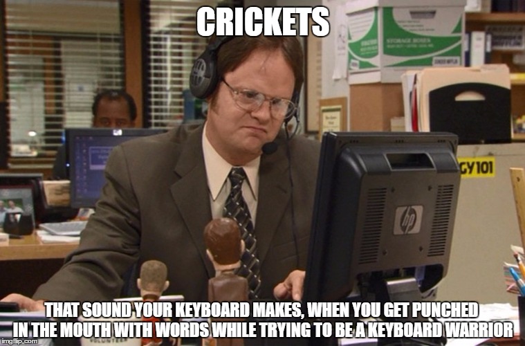 Keyboard Warrior | CRICKETS; THAT SOUND YOUR KEYBOARD MAKES, WHEN YOU GET PUNCHED IN THE MOUTH WITH WORDS WHILE TRYING TO BE A KEYBOARD WARRIOR | image tagged in keyboard warrior,dwight,keyboard,keyboard warriors | made w/ Imgflip meme maker